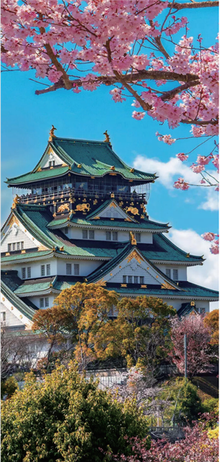 研學項目|日本東京研學營：7天遇見未來，在櫻花與動漫之國收獲成長